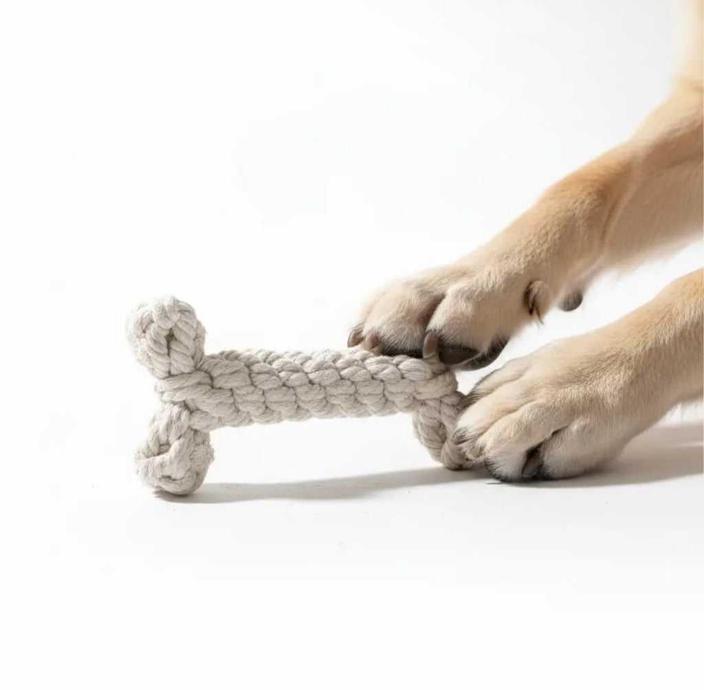 Bone Rope Toy